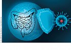 Эпидемия COVID-19: двойной удар по микробиоте (Обзор литературы)
